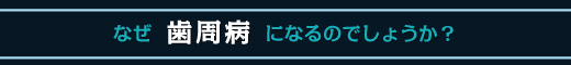 なぜ歯周病になるのでしょうか？