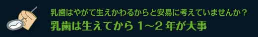 乳歯はやがて生えかわるからと安易に考えていませんか？乳歯は生えてから1〜2年が大事