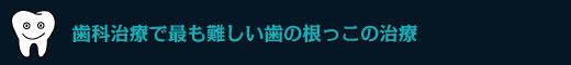 歯科治療で最も難しい歯の根っこの治療