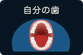 自分の歯